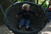 IMG_9988.JPG