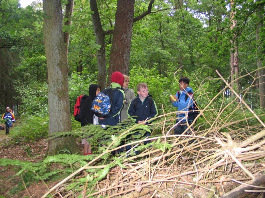 WJS0071.JPG