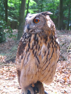 WJS0086.JPG